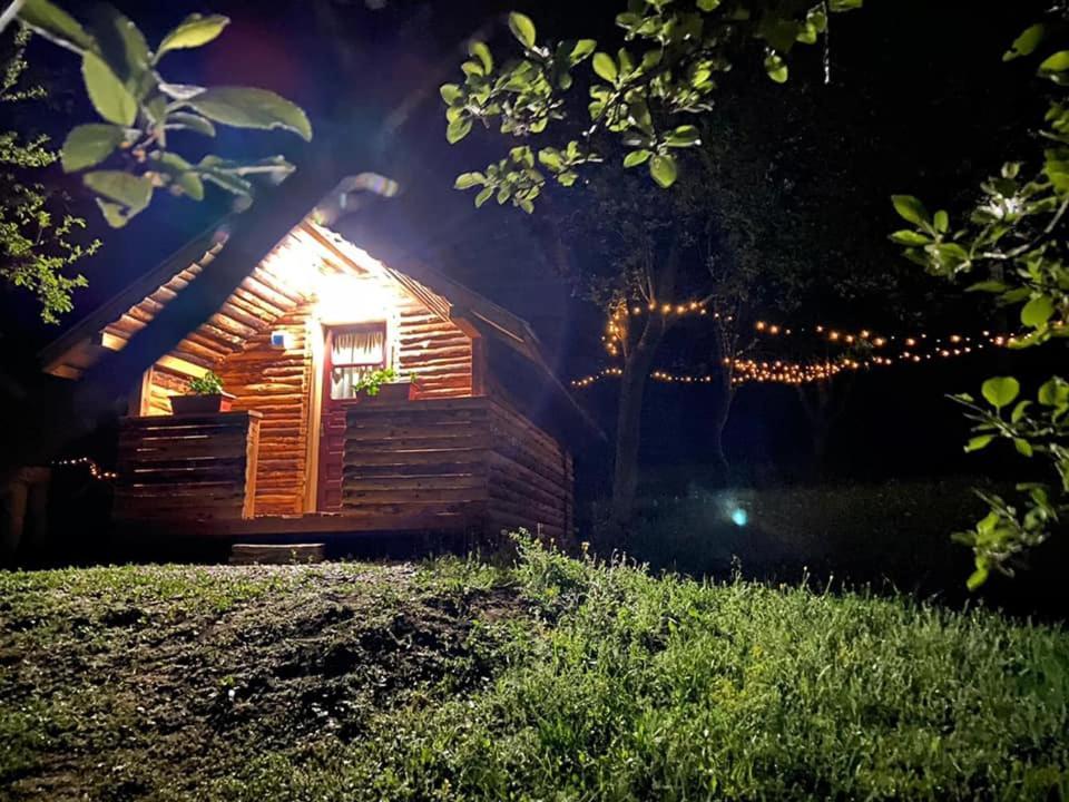 ホテル La 3 Stejari, Calimanesti Salatrucel エクステリア 写真