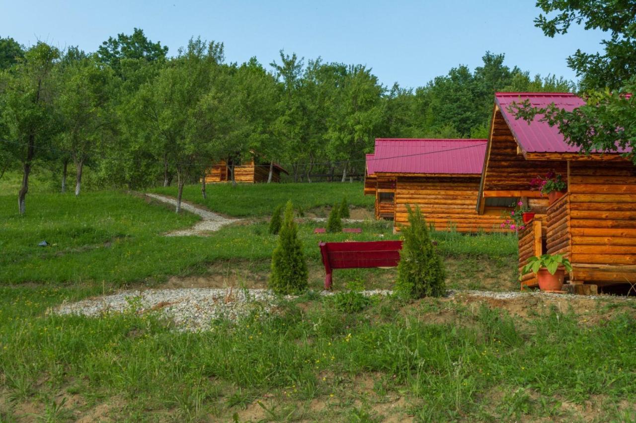 ホテル La 3 Stejari, Calimanesti Salatrucel エクステリア 写真