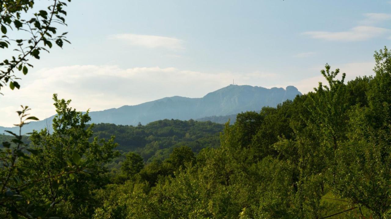 ホテル La 3 Stejari, Calimanesti Salatrucel エクステリア 写真