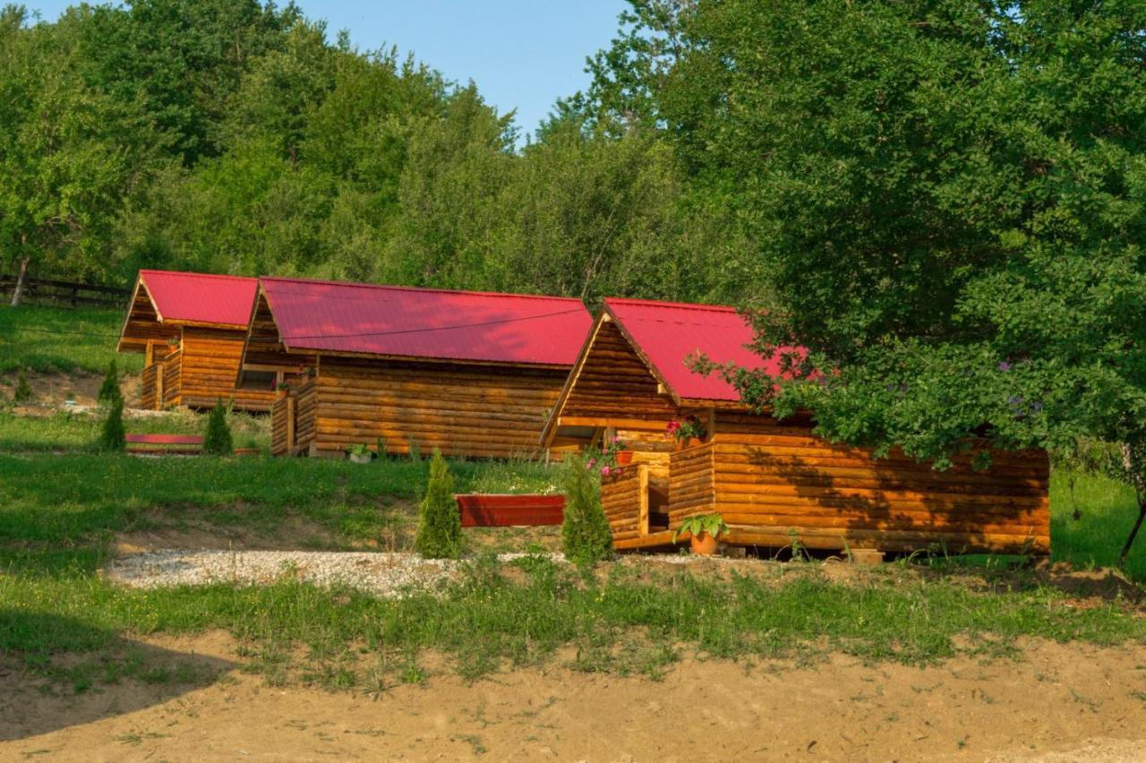 ホテル La 3 Stejari, Calimanesti Salatrucel エクステリア 写真