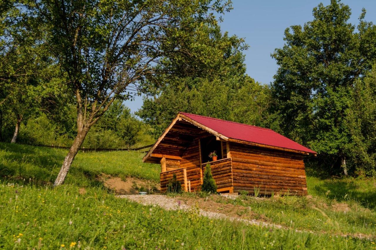 ホテル La 3 Stejari, Calimanesti Salatrucel エクステリア 写真