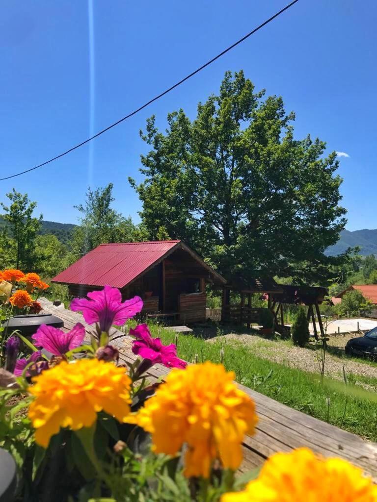 ホテル La 3 Stejari, Calimanesti Salatrucel エクステリア 写真