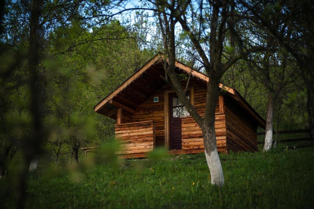 ホテル La 3 Stejari, Calimanesti Salatrucel エクステリア 写真