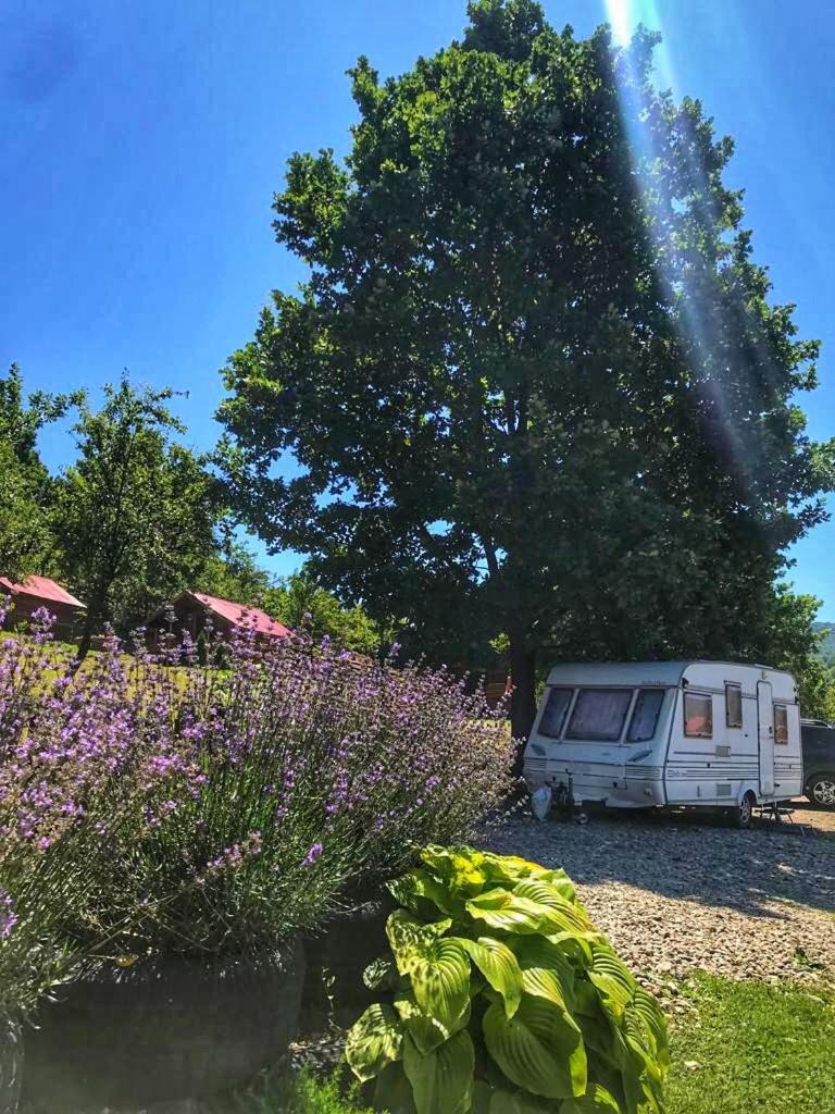 ホテル La 3 Stejari, Calimanesti Salatrucel エクステリア 写真