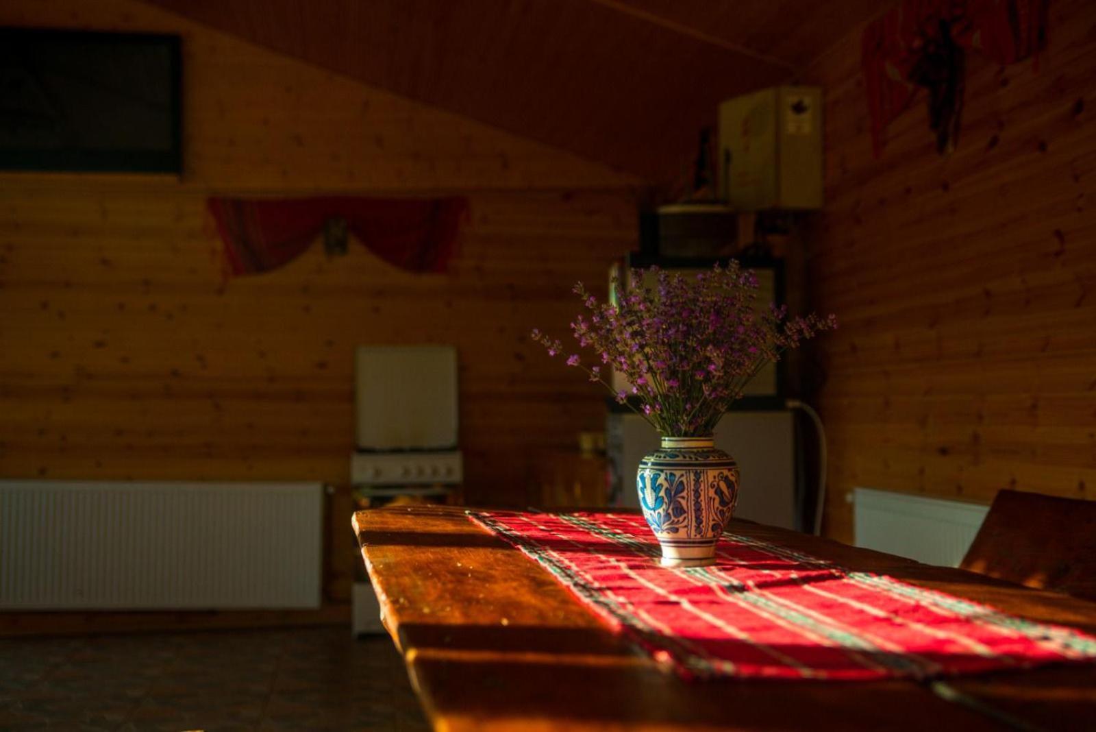 ホテル La 3 Stejari, Calimanesti Salatrucel エクステリア 写真