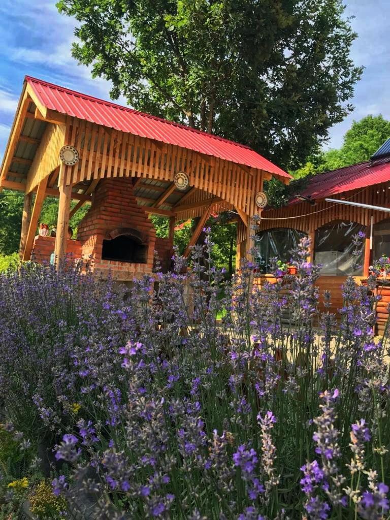 ホテル La 3 Stejari, Calimanesti Salatrucel エクステリア 写真