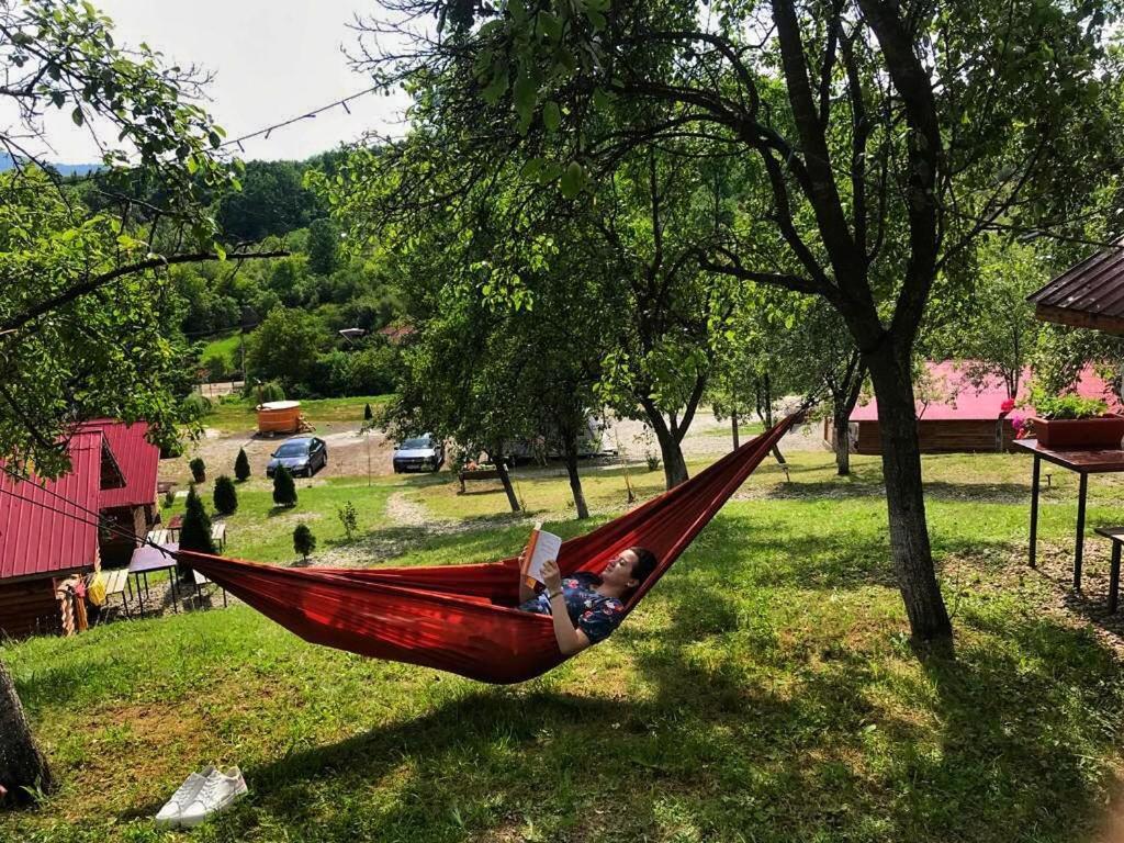 ホテル La 3 Stejari, Calimanesti Salatrucel エクステリア 写真