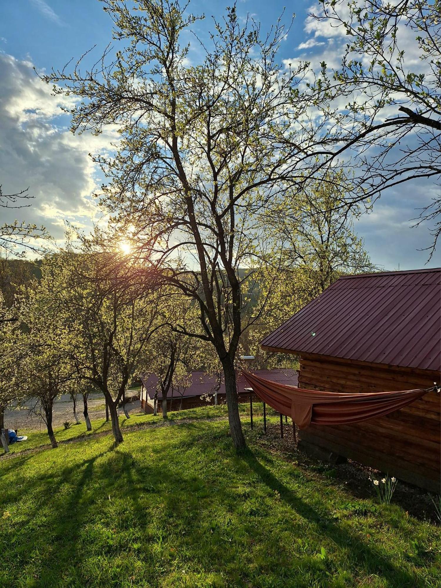 ホテル La 3 Stejari, Calimanesti Salatrucel エクステリア 写真
