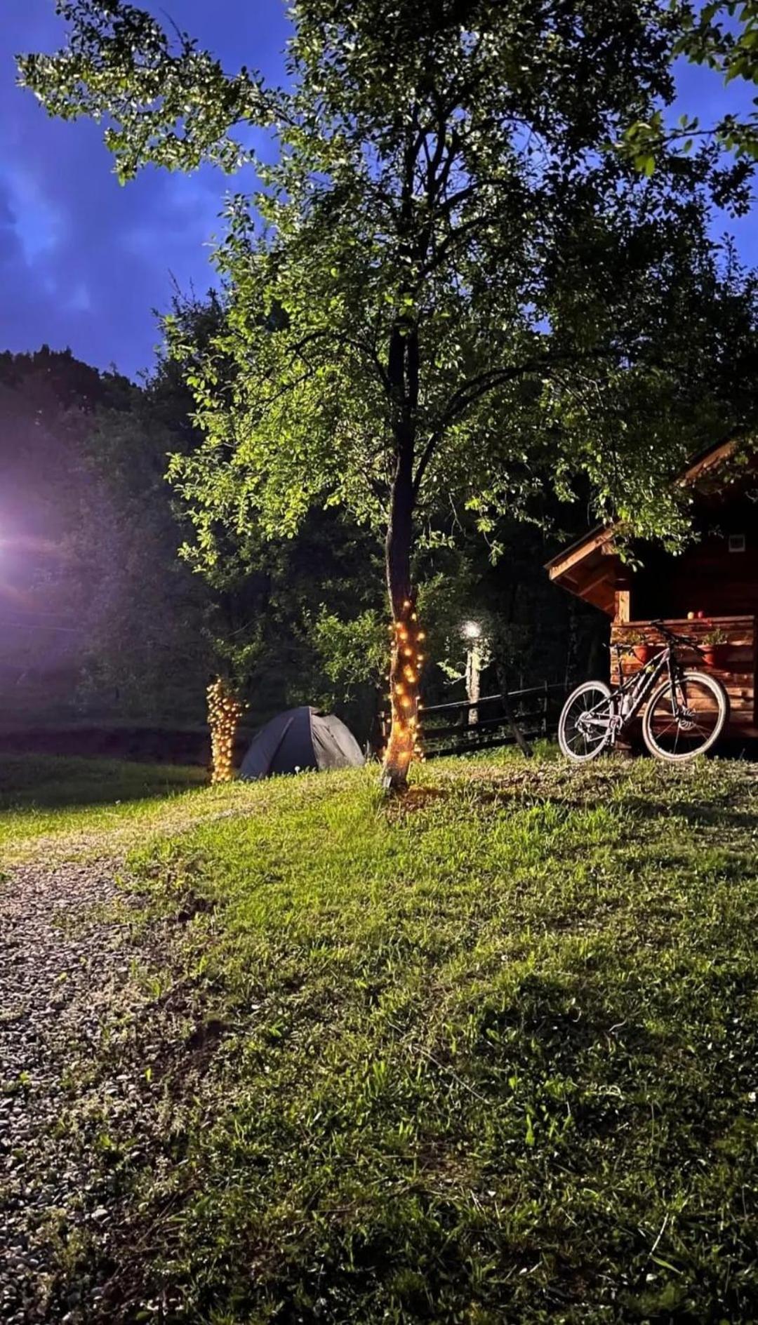 ホテル La 3 Stejari, Calimanesti Salatrucel エクステリア 写真